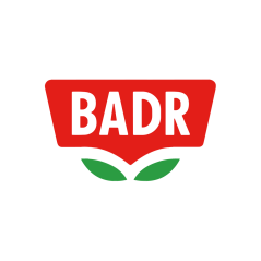 بدر